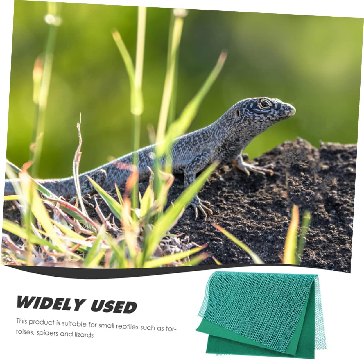 ERINGOGO 1 Set Reptile Carpet Liner Mat of Substrate for Snakes Lizards Tortoises and Insects for in Pet Terrariums Durable and Easy to Use