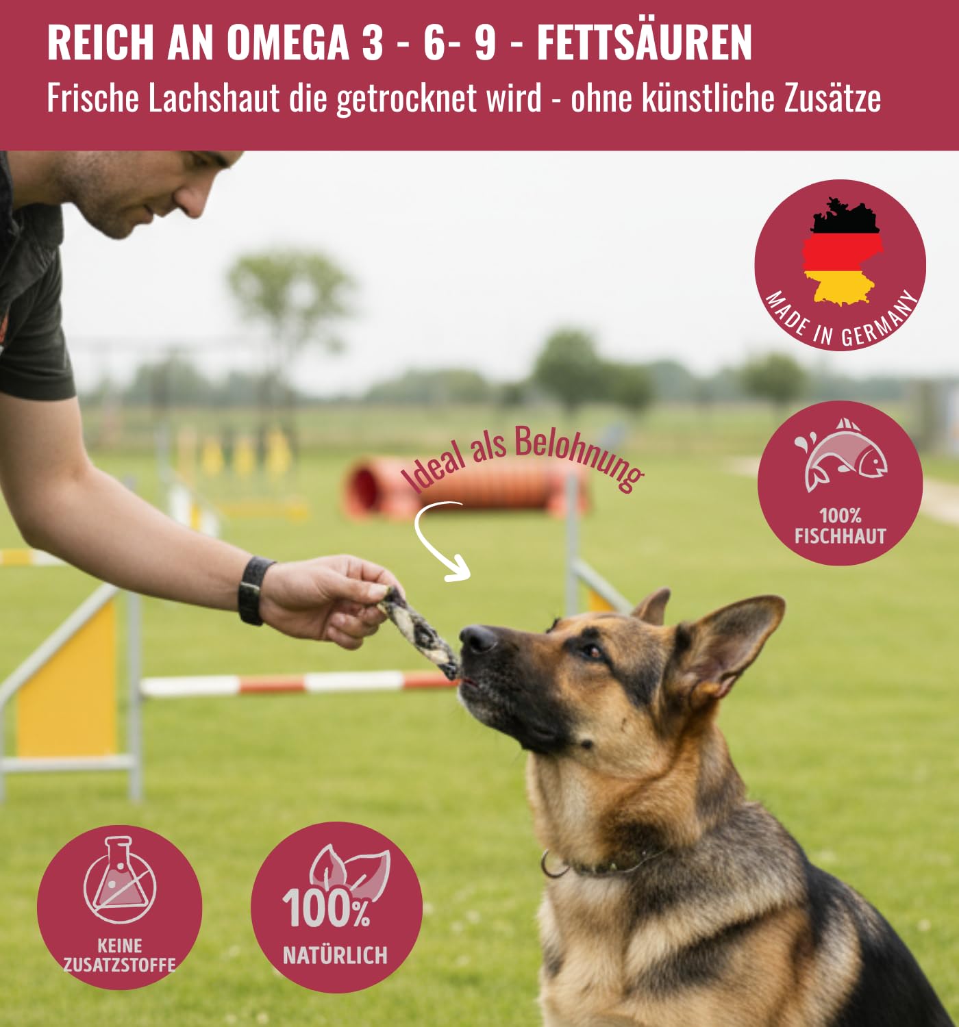 100% LACHS-ZÖPFE aus Lachshaut 6x140g Schonend getrocknete Hundesnacks aus Fisch - Lang haltbar, Mit Omega-3, 6 & 9, Proteinreich, nährstoffreich & ohne Zusatzstoffe von RiNa Fisch Hundesnacks