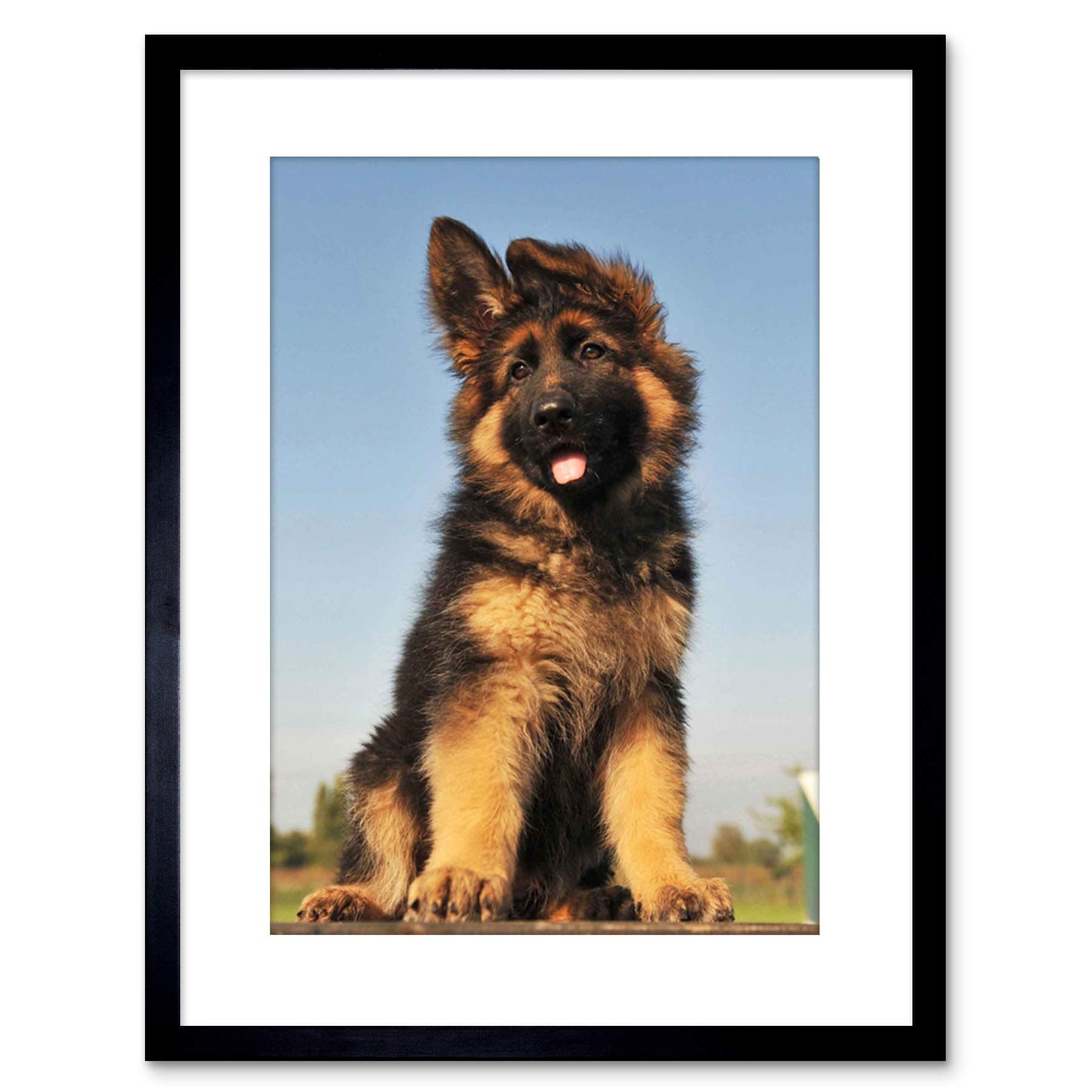 Wee Blue Coo Puppy German Shepherd Alsatian Picture Photo Framed Wall Art Print