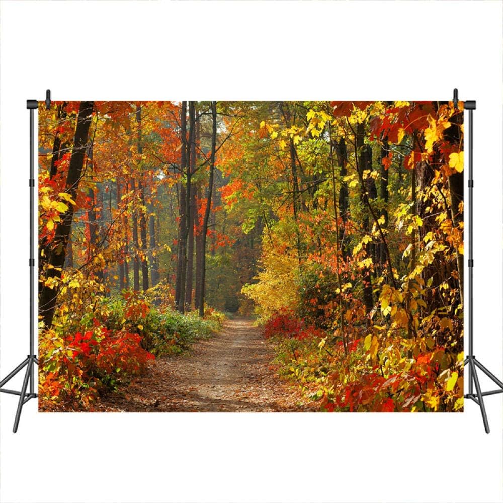 Backdrop Photography Autumn Photographic Background Forest Props