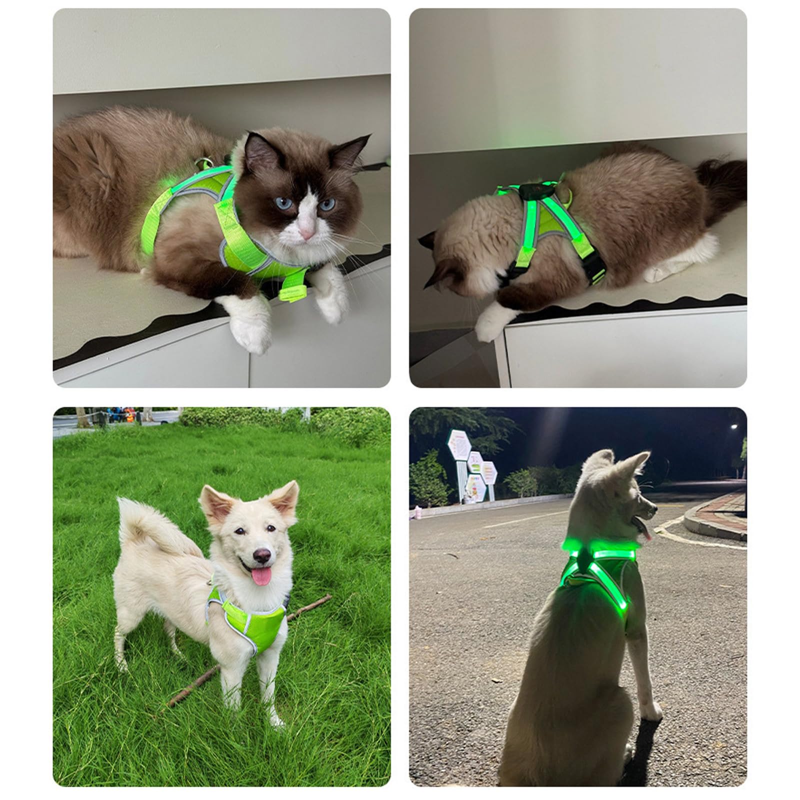 Imbracatura da addestramento per cani regolabile ricaricabile tramite USB con luce a LED per passeggiate, nuoto, escursionismo
