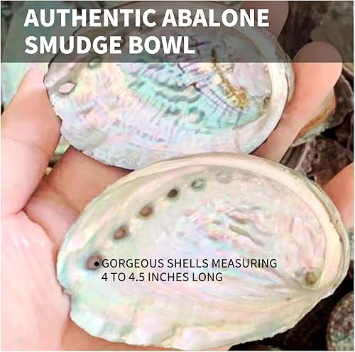 Miniatura 3 de Kit de manchas esenciales de salvia blanca, palo, santo, concha de abulón, plumas, ideal para curación, purificación, meditación e incienso, juego