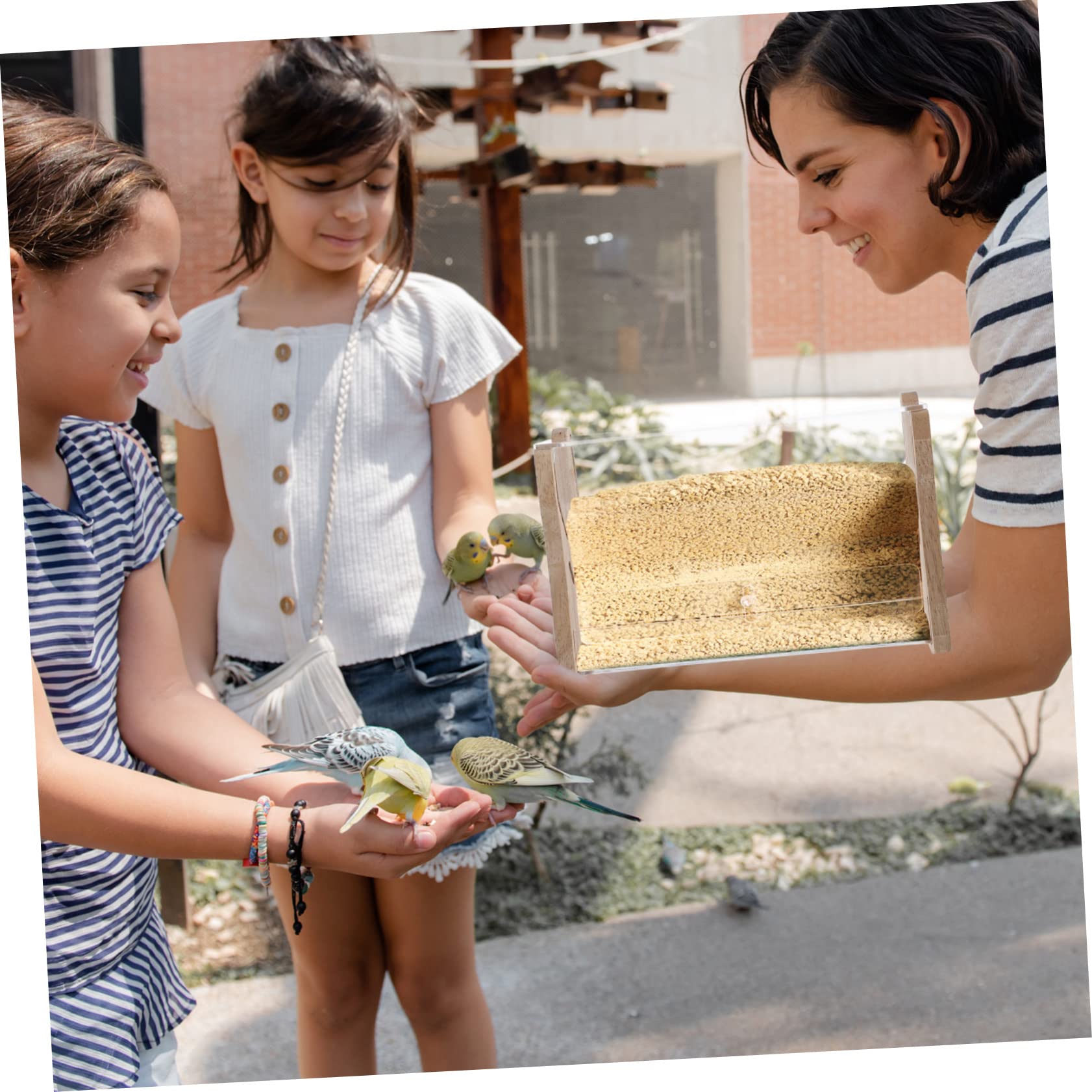 INOOMP Mangiatoia Automatica Per Polli Mangiatoia Multiuso Per Pappagalli in Acrilico Trasparente Contenitori Per Cibo Per Polli