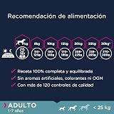 Ver la foto 7