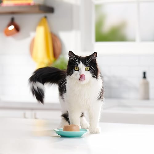 Miniatura 5 de Meow Mix Paté in Salsa Comida húmeda para gatos con atún real y salmón, 2.75 onzas (paquete de 12)