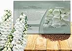 Outsidepride Digitalis Purpurea Alba White Foxglove Seeds – 5000 Pcs Biennial, Prolific, Tall Growing Flower Seeds with Pollinator-Friendly Blooms for Shaded Gardens & Outdoor Landscapes