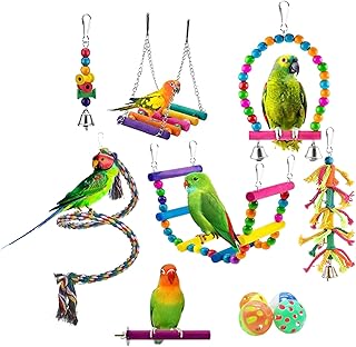 11PCS Bird Toys Playground Accessories