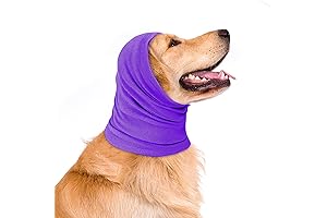 Happy Hoodie for Dogs: The Warm and Calming Headgear