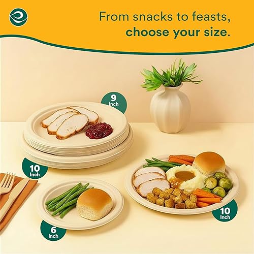 Miniatura 7 de ECO SOUL Platos de papel compostables de 6 pulgadas (500 unidades) platos para postre, resistentes, ecológicos, bagazo de caña de azúcar, platos