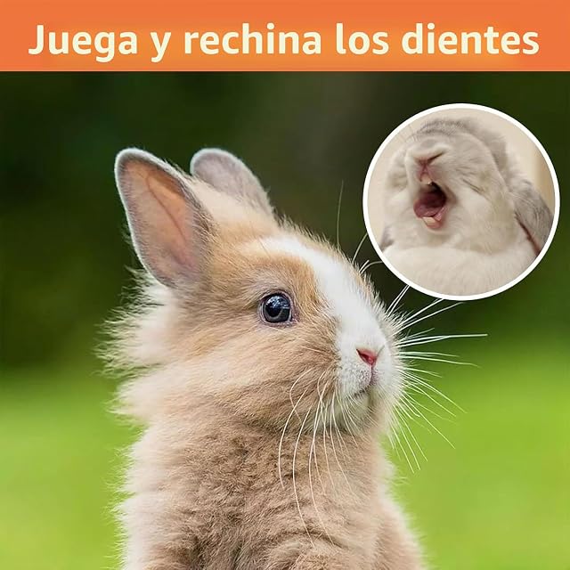 Foto 5 de 7 de lisetar Juego de 21 juguetes de conejo, juguetes masticables naturales para conejo, hámster