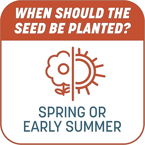 Miniatura 8 de Pennington Smart Patch Bermudagrass Mix 10 lb