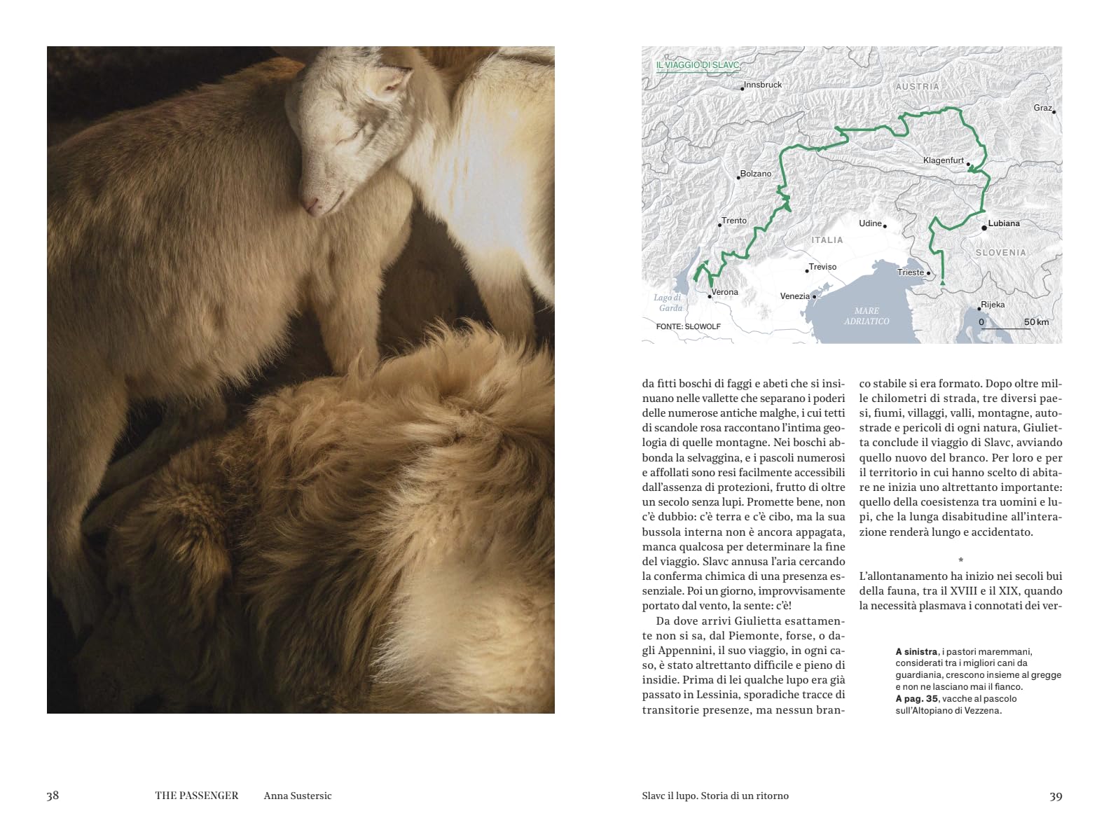 Alpi. The passenger. Per esploratori del mondo