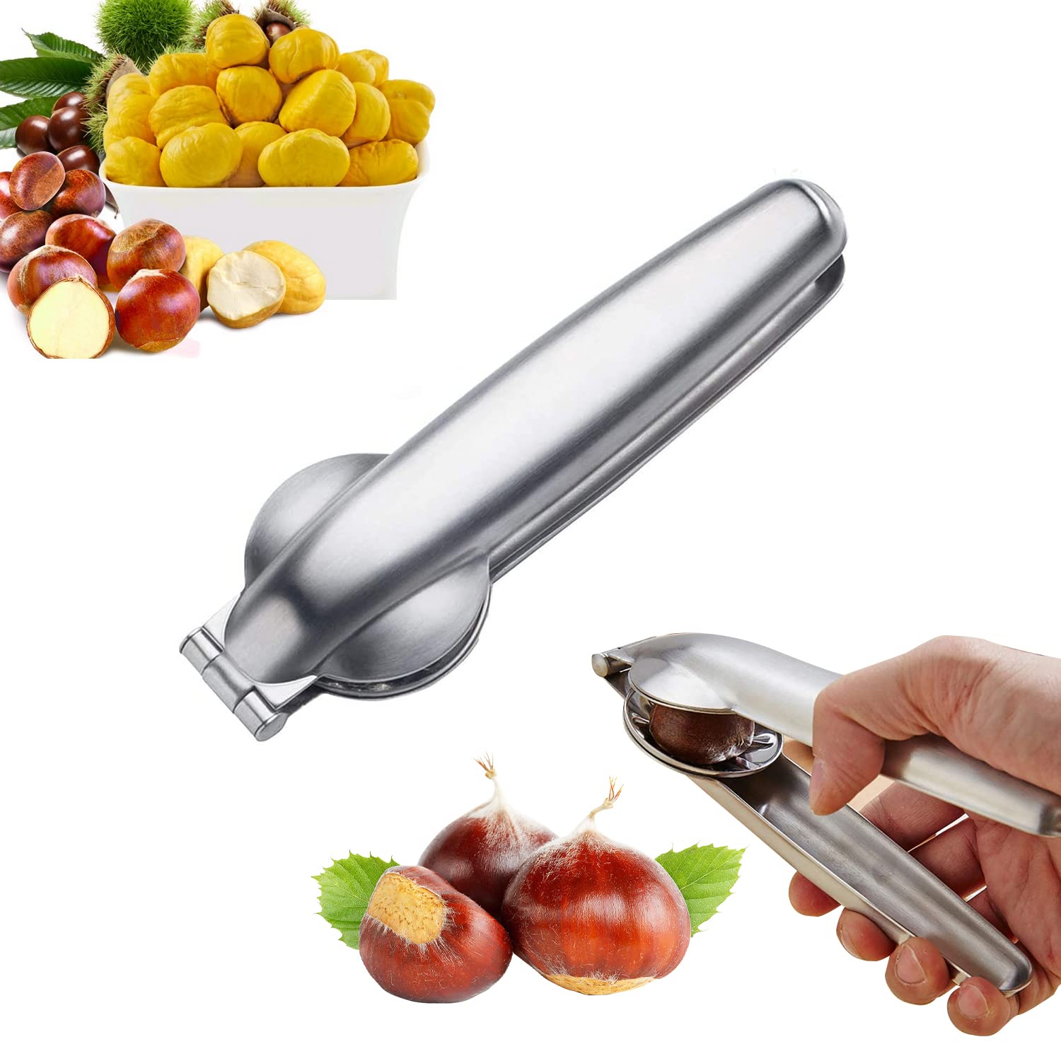 Pince à Châtaignes Casse-Noisette, 2 En 1 Multifonctionnel Casse