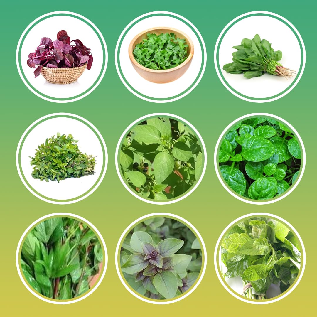 Eg Elamgreen Elamgreen Organics Leafy Vegetable Seed Kit Pack Of 10 Easy Leafy Vegetable Hybrid Seeds 500Seeds Organic (B09P17QKG8) Amazon Price History, Amazon Price Tracker