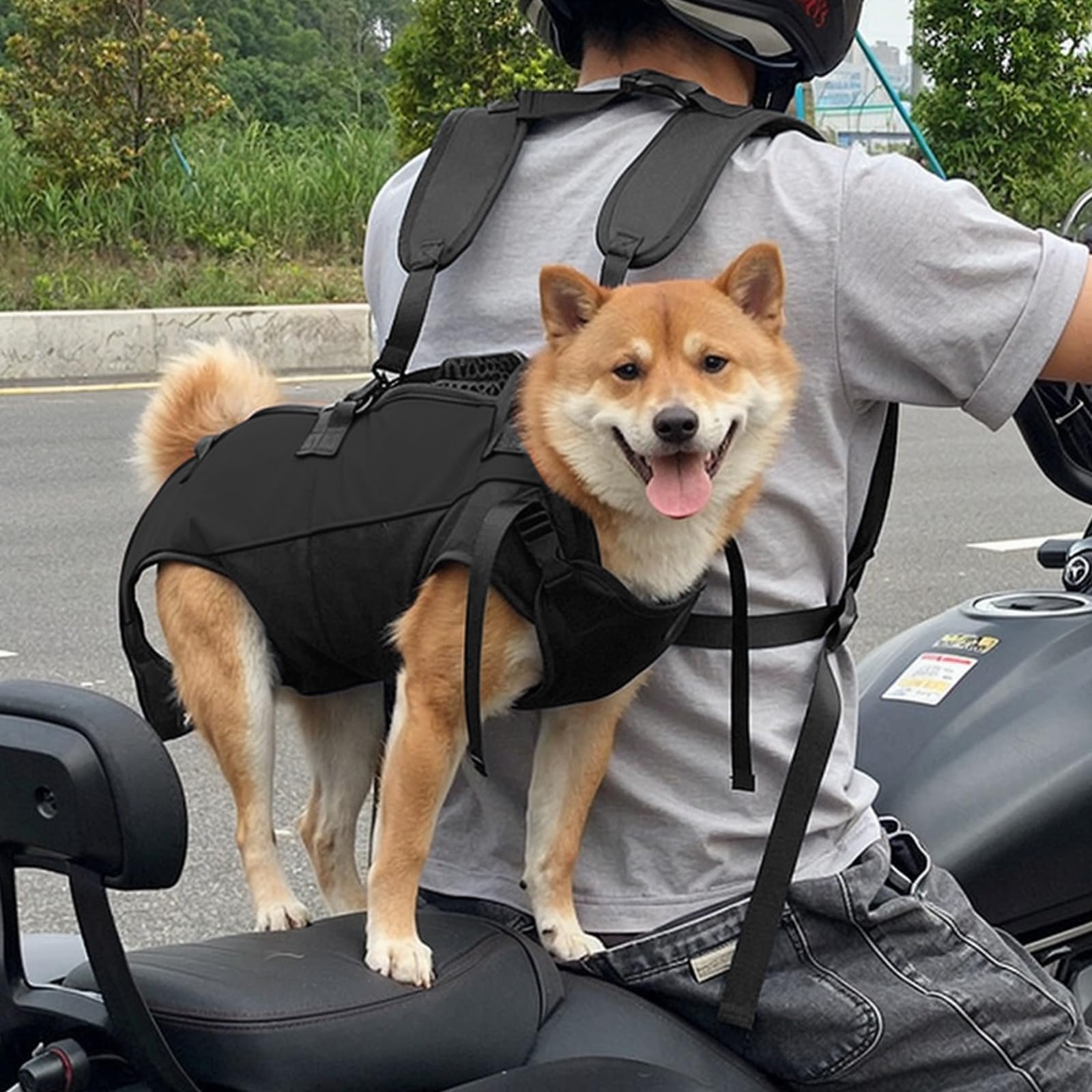 Harnais de Transport pour Chien, Sac à Dos d'urgence pour Chien, Sangle de Transport avec Poignée pour Chiens Âgé, Aide-escalier pour Chiens Handicapés Blessés (L)