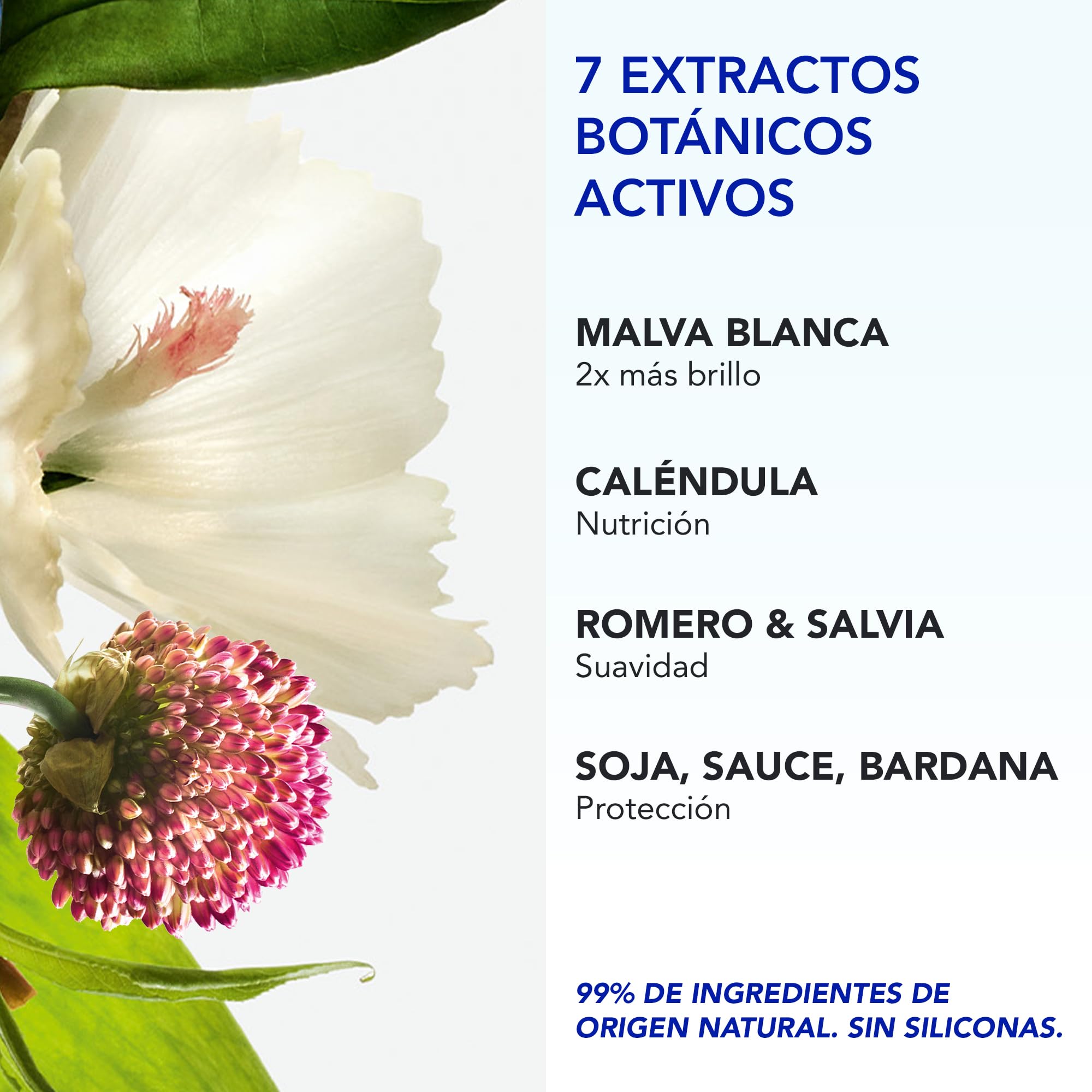 Phyto Paris – Phyto 7 Elixir Crema de Día Universal 100ml – Tratamiento Nutritivo Diario para Cabello Seco – Protección Anti-encrespamiento 48 H – 7 Extractos Botánicos – Sin Aclarado