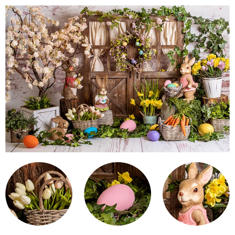 Photo Studio Background