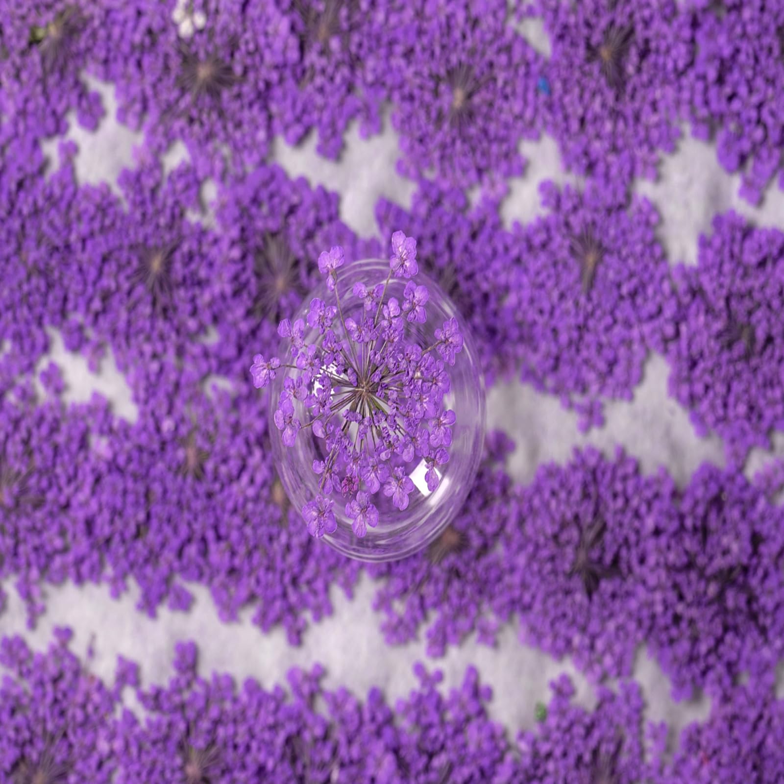 60 Stück getrocknete gepresste Blumen für Kunstharz, DIY, Kunst, Handwerk, natürlich, trocken, Epoxidharz, Schmuck, echte Spitze, Blumendekoration, Kuchen, Handyhüllen, Kerzen, handgefertigte Seife,