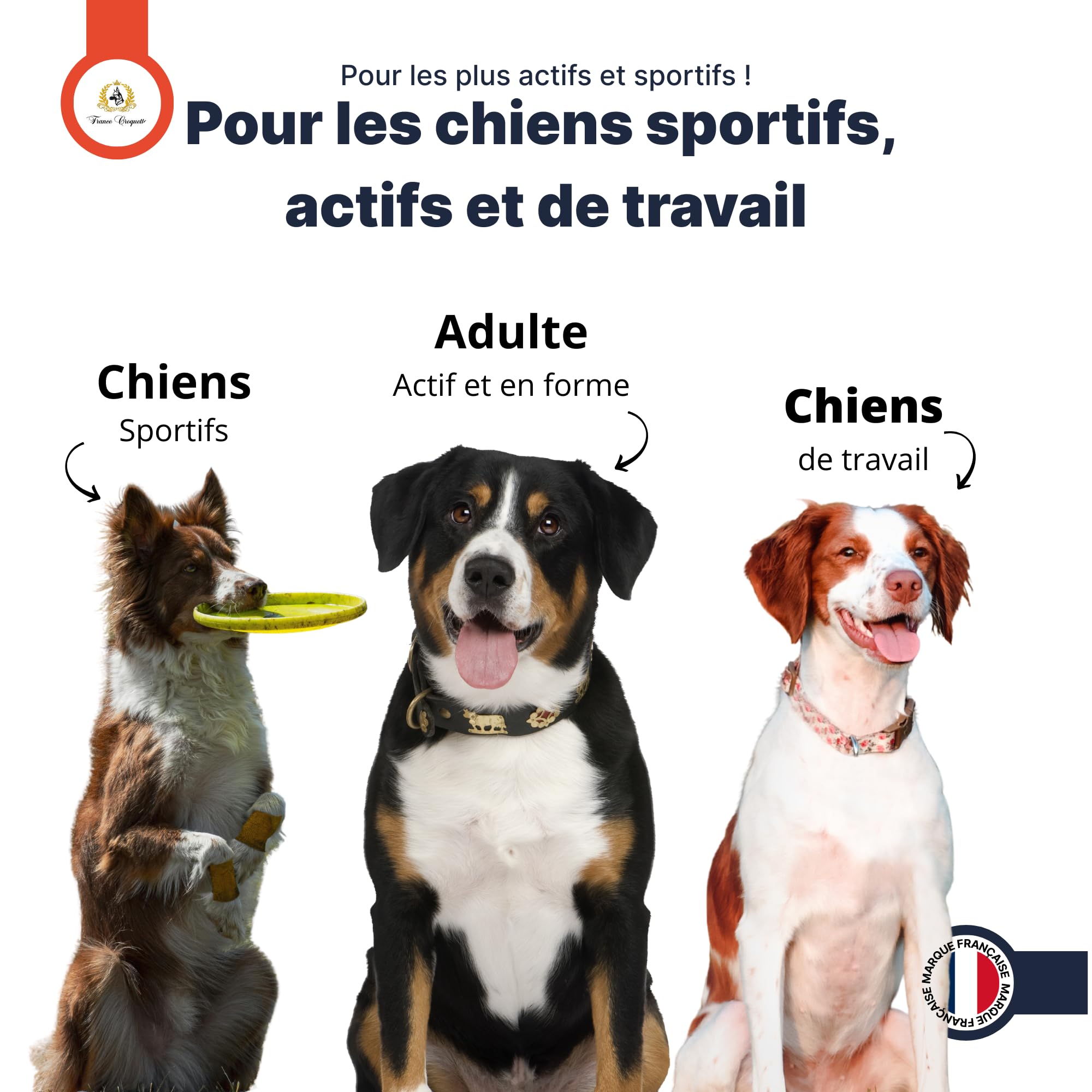 complément alimentaire chien Muscle Power x5 – croissance musculaire, force, endurance et récupération – fourni avec cuillère doseuse – chiot adulte senior – santé articulaire et vitalité - 500g