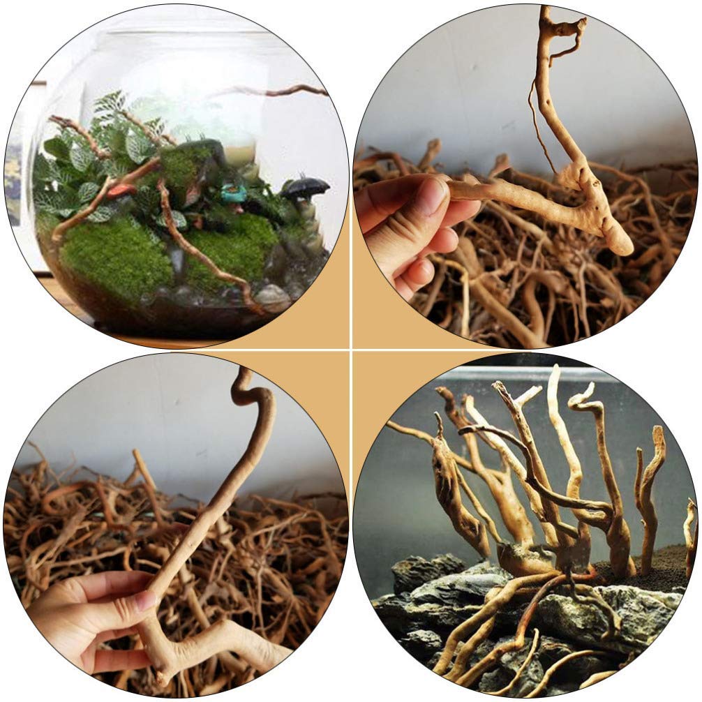 ARTSIM 5 Stck natrliches Aquarium Treibholz Naturholz Reptil Zweig  Aquarium Baum Pflanzenstumpf Ornament Rhododendron Wurzel Pflanze Wurzel  Aquarium Landschaft Dekor zufllige Farbe: Amazon.de: Haustier