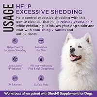 Vista 3 de Suplemento nutricional Synergylabs SHED-X Dermaplex Shed Control