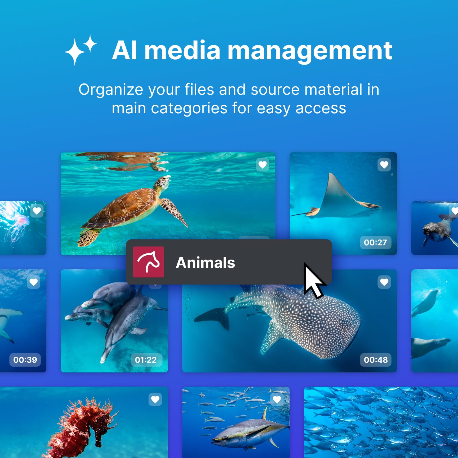 MAGIX Video deluxe Premium 2026 - Edición de vídeo para PC Windows 10/11 | 1 licencia descarga 2 dispositivos