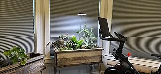 Review Image by Smith Smith