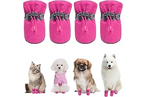 Cat Paw Protectors: Cat Shoes for Cats Only