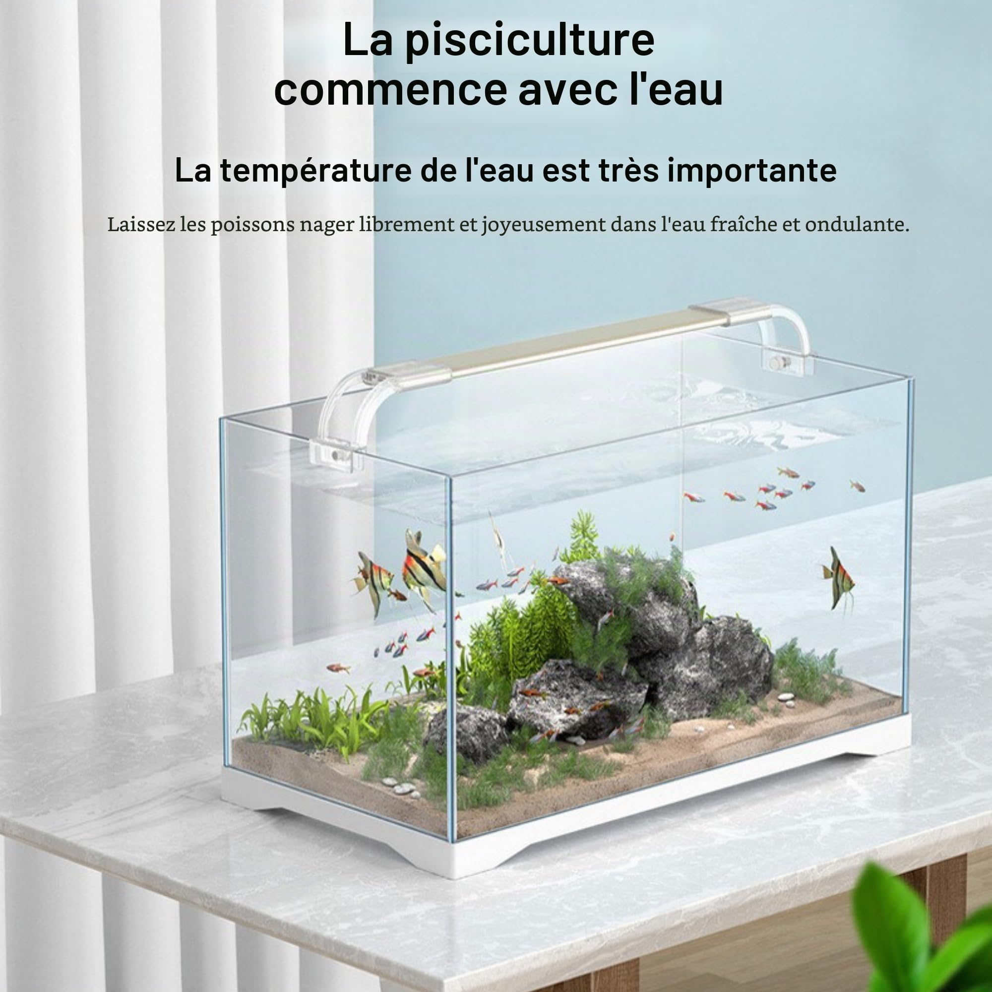 Refroidisseur D'eau D'Aquarium, Fonctionnement Silencieux 2 en 1, Refroidissement Rapide, Réglage du Refroidissement et du Chauffage pour Aquarium ≤ 20 L avec Tuyau D'eau et