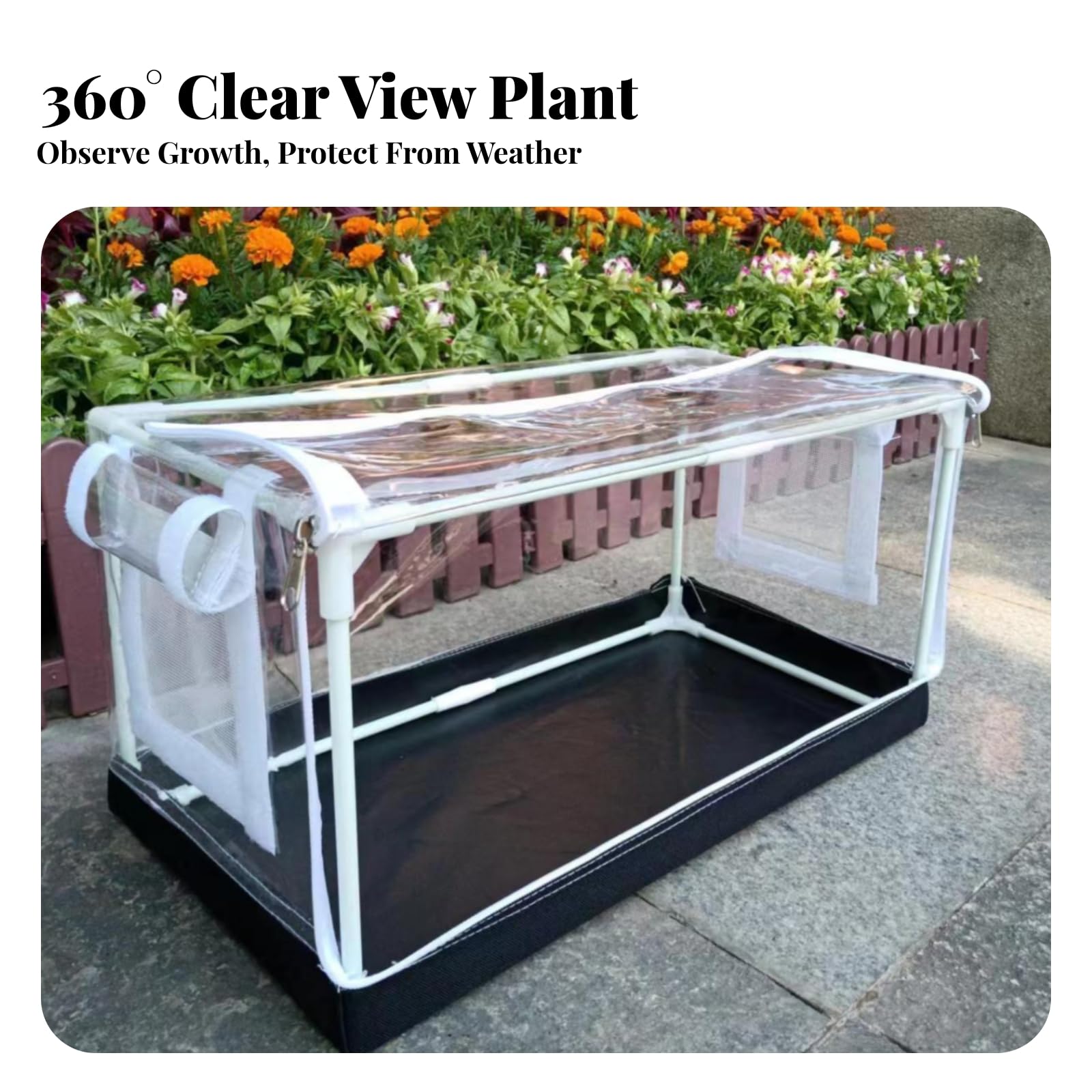 Serre Cverture en PVC | Facile à Entrenir, Serre Cadre en Fibre Verre, pr Terrasse, 80x50x50cm