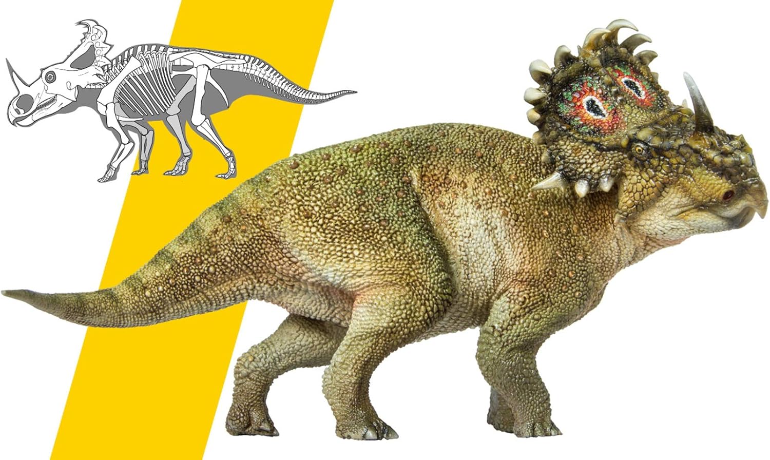 PNSO Sinoceratops A-qi Figure Realistic Ceratopsidae Dinosaur PVC Collector Toys Animal Educational Model Decoration Gift for Adult