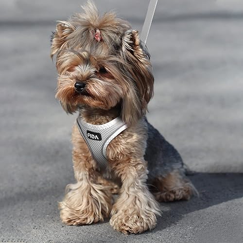 Miniatura 7 de Fida Juego de arnés y correa para gato para gatito y cachorro, arnés a prueba de escapes con malla suave y transpirable, diseño reflectante