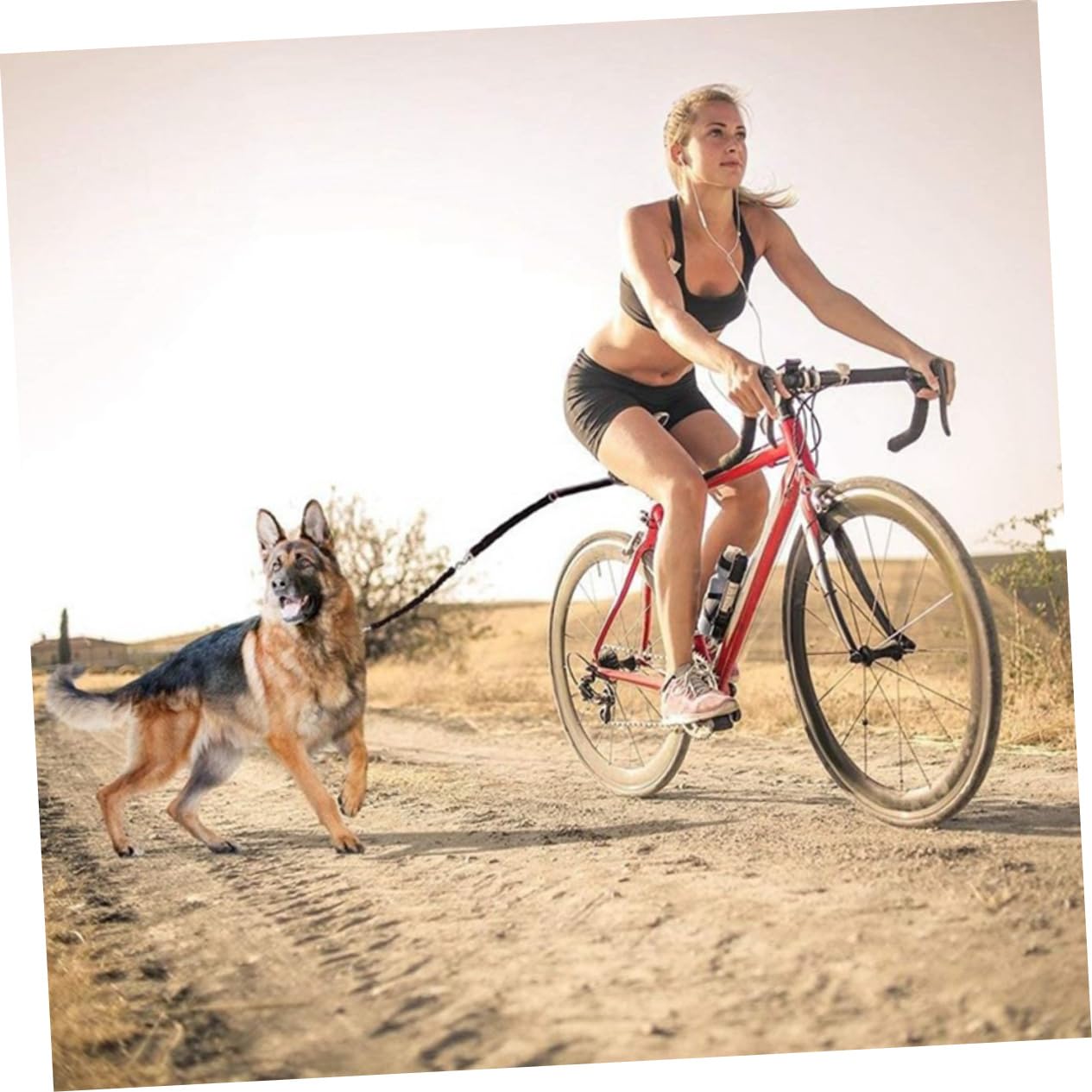 BESPORTBLE Laisse De Dressage pour Chien Détachable Corde De Traction pour Animaux De Compagnie Laisse pour Chiot Accessoire pour Promenades Et Activité en Extérieur