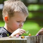 XXTOYS Crystal Mining Kit for Kids – Dig and Discover Real Gemstones, Crystals, and Minerals, STEM Geology Kit with Excavation Tools, Fun Educational Gift for Boys and Girls (Ages 6+)