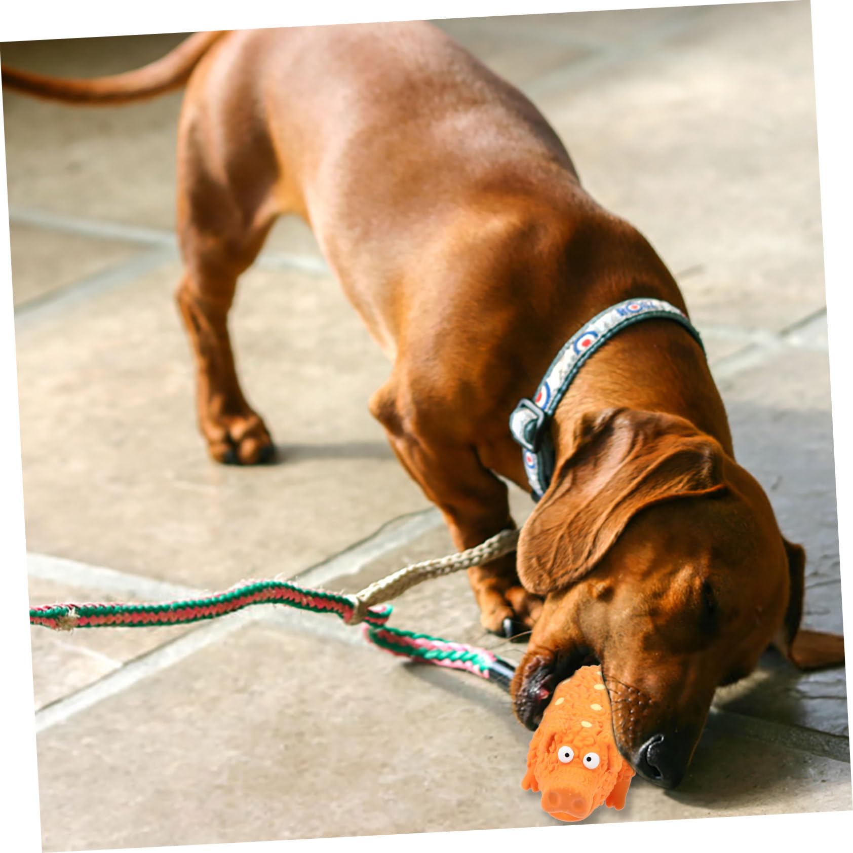 FRCOLOR 4piezas Juguete Chirriante para Perros Set Juguetes De Látex para Masticar para Cachorros y Perros Pequeños Ayuda Limpiar y La Inteligencia