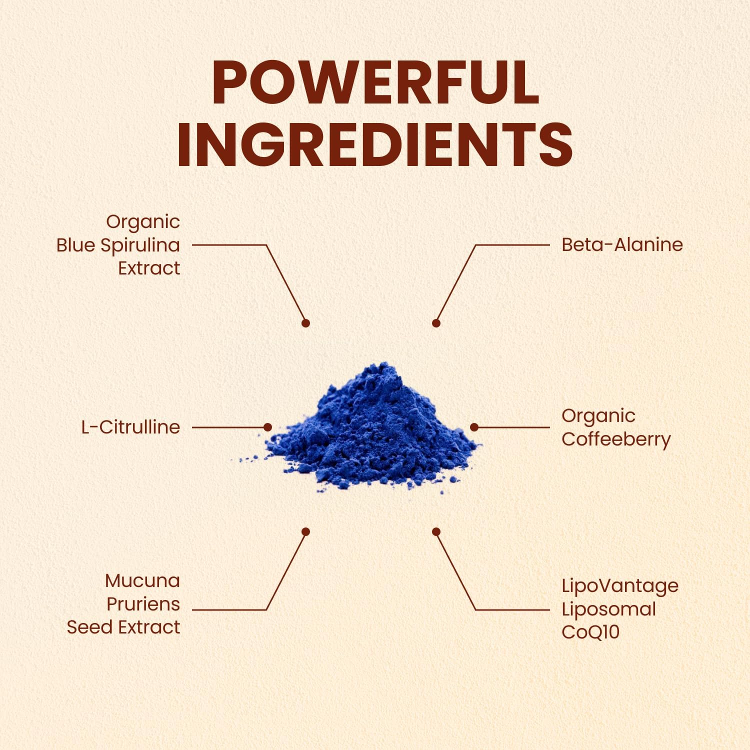 CHOQ Chad Mode - Pre Workout Powder for Men & Women - Organic Energy Supplement with L-Citrulline, Beta Alanine & Green Coffee - Clean & Natural Pre Workout - Image 2