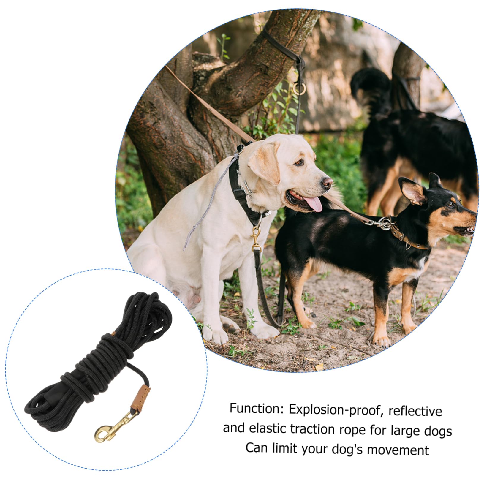 Laisse de Traction pour Chien Mètres Laisse Durable et Confortable pour Promenade et Entraînement des Animaux de Compagnie pour Chiens de Moyenne à Couleur Noire