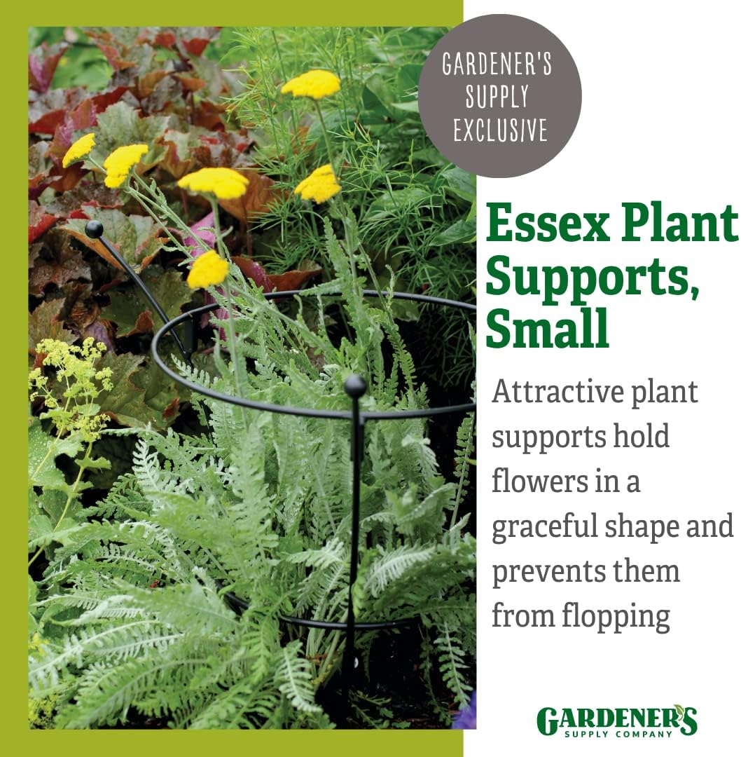 Gardener's Supply Company Essex Plant Support | Sturdy Metal Plants Support Frame For Peonies, Rose Ornamental Flower Garden Cage | Natural Bouquet Shape Flower Support | Small -23H X 14D (Set of 2)
