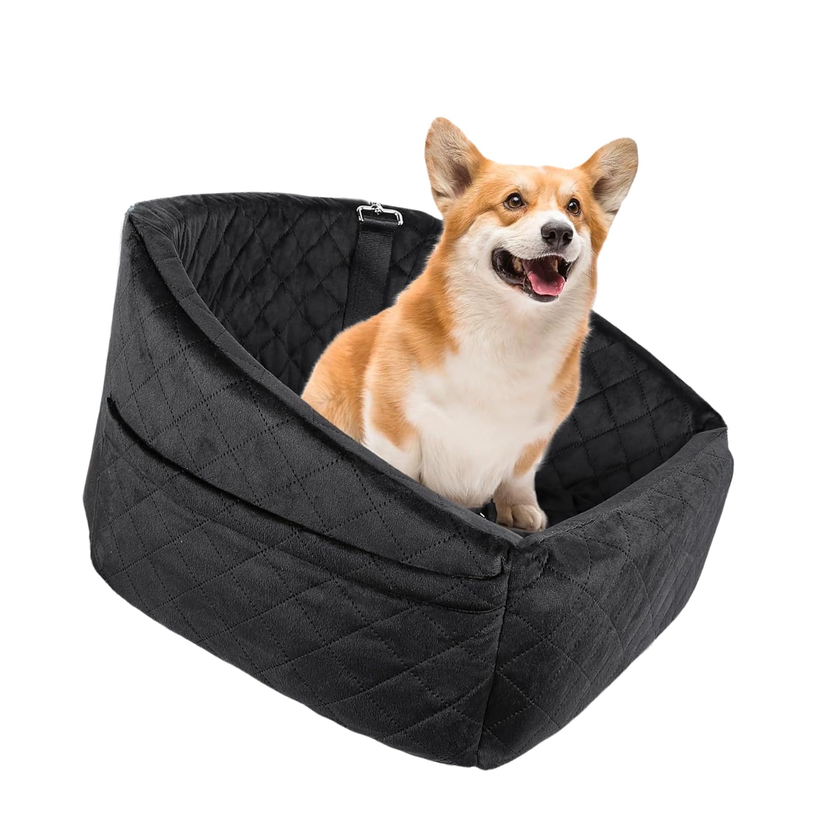 Chien avec ceinture d'appui-tête et poches latérales pour plus de confort et de sécurité