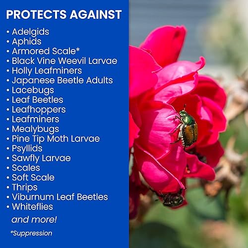 Miniatura 4 de BioAdvanced 2 en 1 Systemic Rose and Flower Care II, gránulos, 5 libras con insecticida BioAdvanced Rose and Flower, listo para usar, 24 onzas