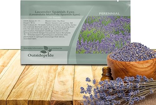 Outsidepride 100 semillas de lavanda perenne ojos españoles hierba jardín semilla para plantar