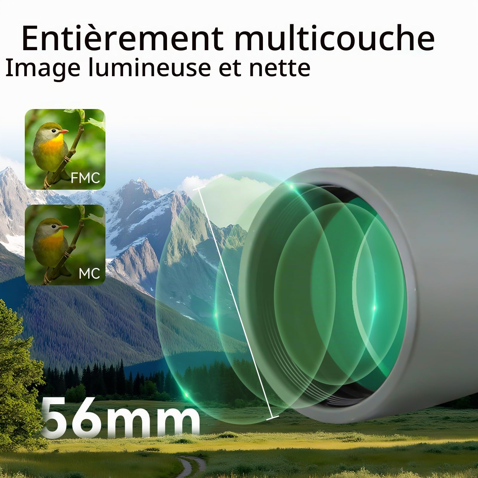 Svbony SV410 Ed Longue Vue 9-27x56, Portable Compact, Verre Ed Optique FMC, Champ de Vue Large Étui Modulaire Colibri Spotting Scope pour Observation des Oiseaux, Voyage, Paysage