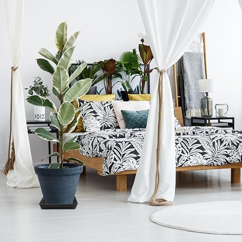 Miniatura 2 de WAYNHUI Plato cuadrado para plantas de 68101214161820 pulgadas, bandeja cuadrada de plástico para recipiente de agua grandepequeña (negro, 20