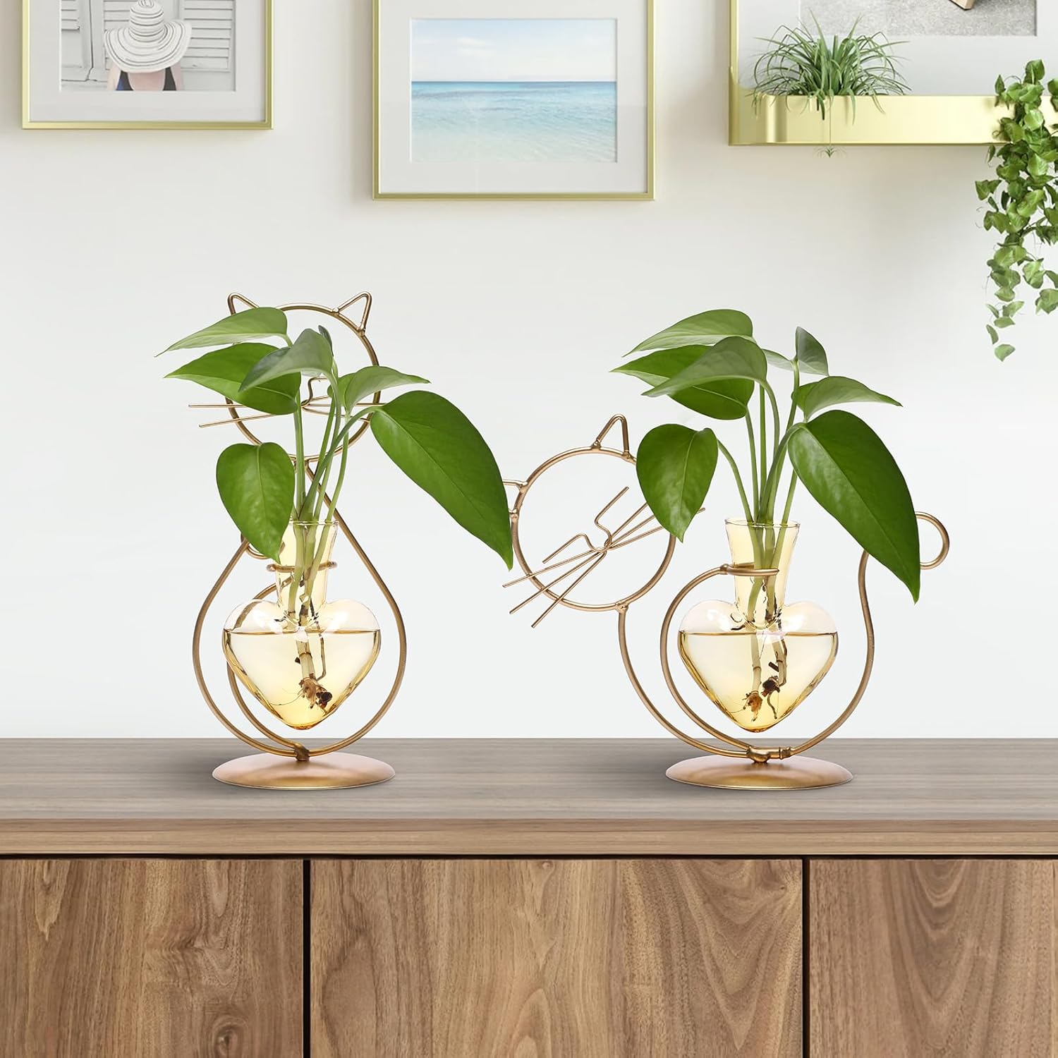Plant Terrarium Plants Propagation Station Cat Lover Gifts for Women Home Office Decor Cat Desk Accessories