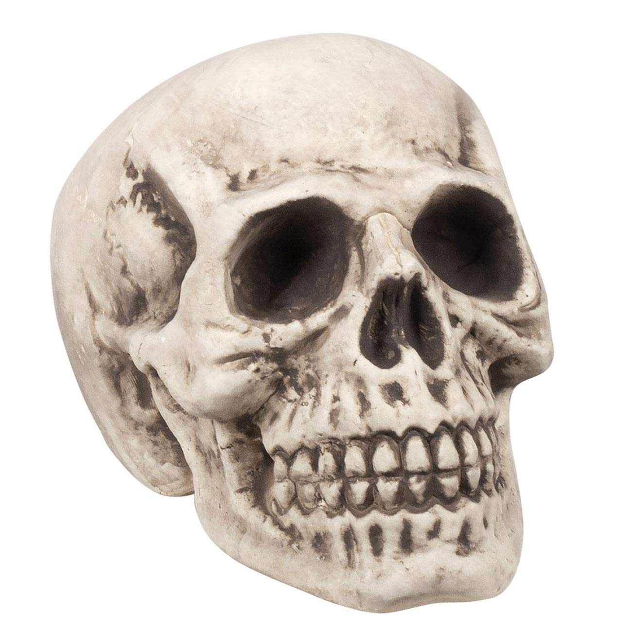 Boland 71988 Skull Bighead, Multi-Colour