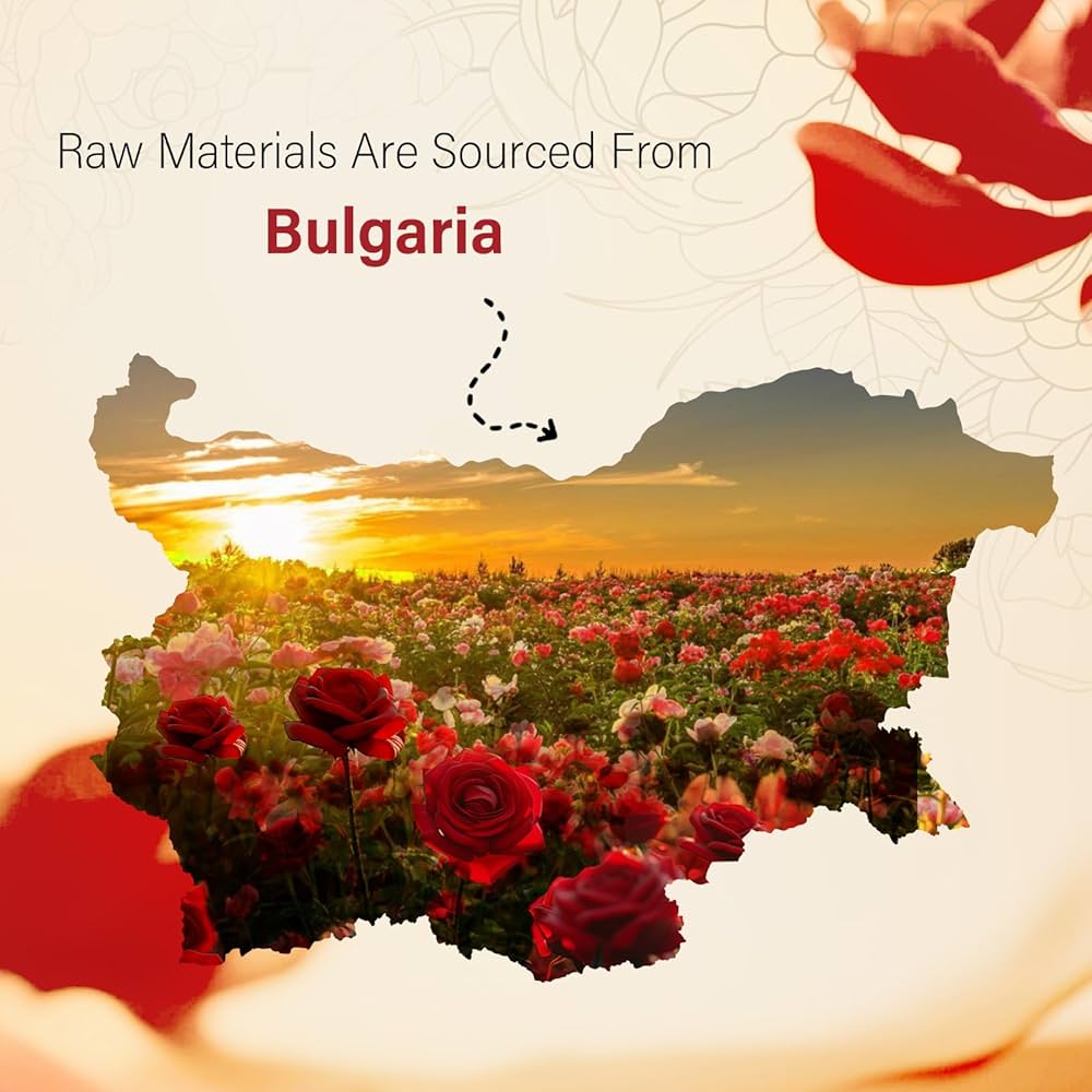 Happy pureローズ^ - ^ 71K8XUqcOrL._UF350,350_QL50_.jpg