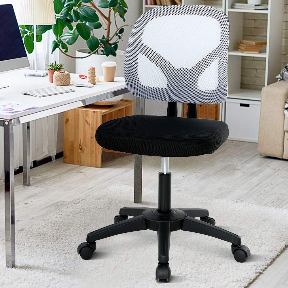 Dkeli Office Chair Desk Chair Computer Chair Ergonomic Low Back Mesh Chair  with Lumbar Support Armless Adjustable Height Swivel Rolling Task Executive