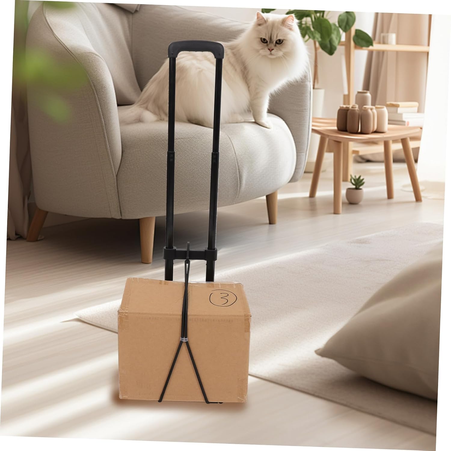 Collapsible Trolly Dolly Cart Luggage Wheels Compact Shopping Trolley for