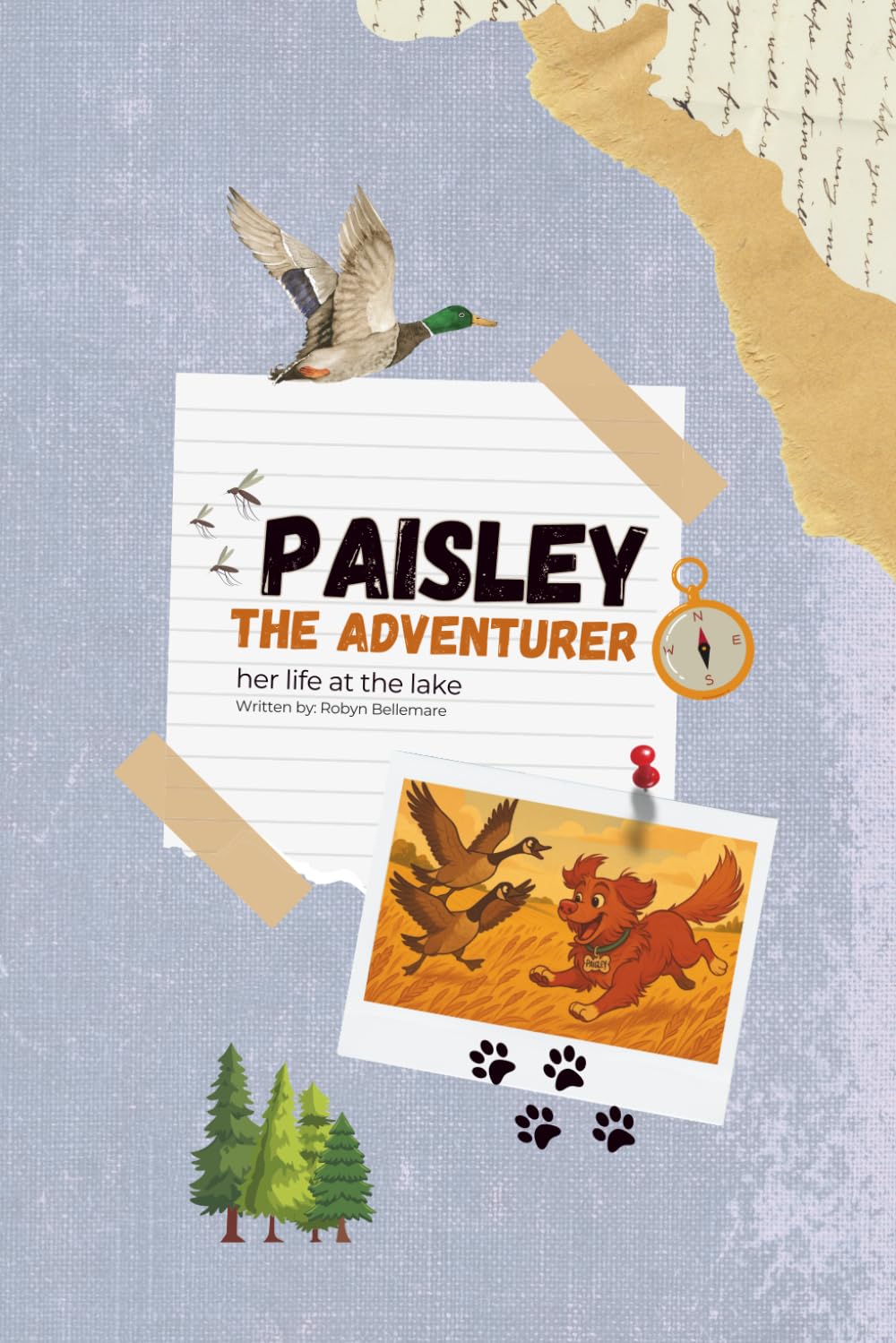 Paisley the adventurer: her life at the lake