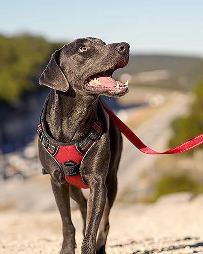 Miniatura 5 de Joytale Arnés sin tirones para perros extragrandes, chaleco reflectante para mascotas con clip frontal, arnés acolchado suave ajustable con asa de